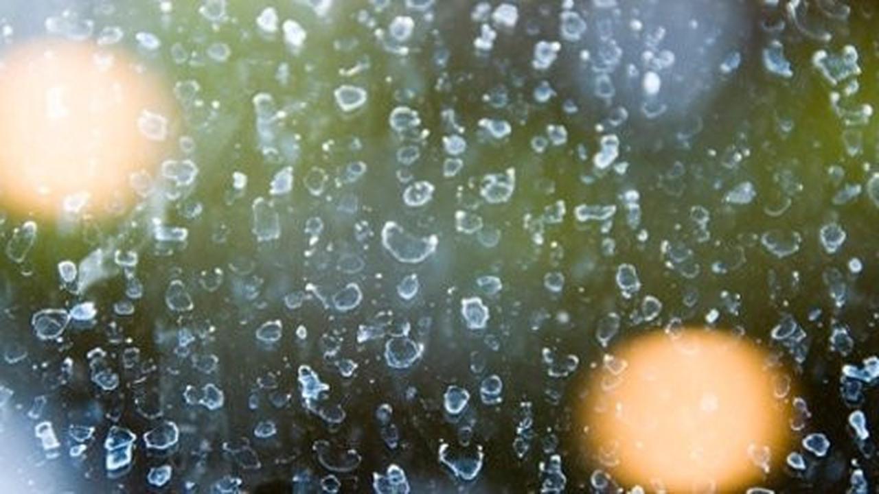 Tips hilangkan jamur membandel di kaca mobil kesayangan