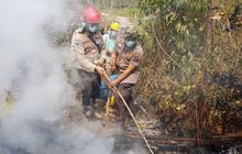 Rincian Gaji Polisi Hutan di Indonesia per Bulan