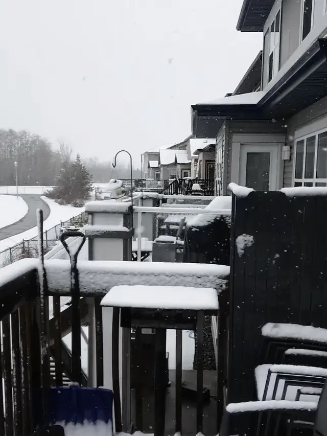 Potret suasana luar rumah Cindy Fatikasari (Sumber: Instagram/tengku_firmansyah)