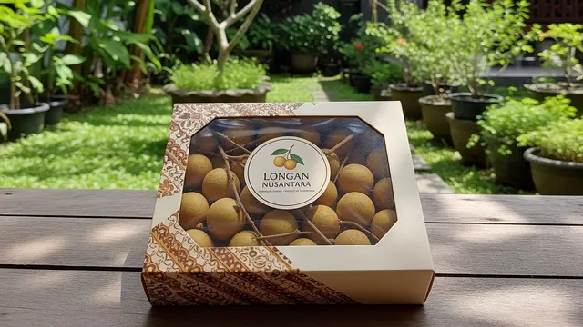 Peluang Usaha Rumahan Kelengkeng.