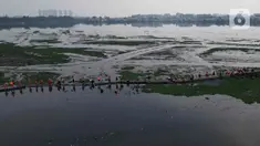 Pemandangan udara ketika puluhan petugas dari Unit Penanganan Sampah (UPS) Badan Air Dinas Lingkungan Hidup DKI Jakarta mengangkat tanaman eceng gondok di area Waduk Pluit, Jakarta Utara, Kamis (8/8/2024). (Liputan6.com/Herman Zakharia)