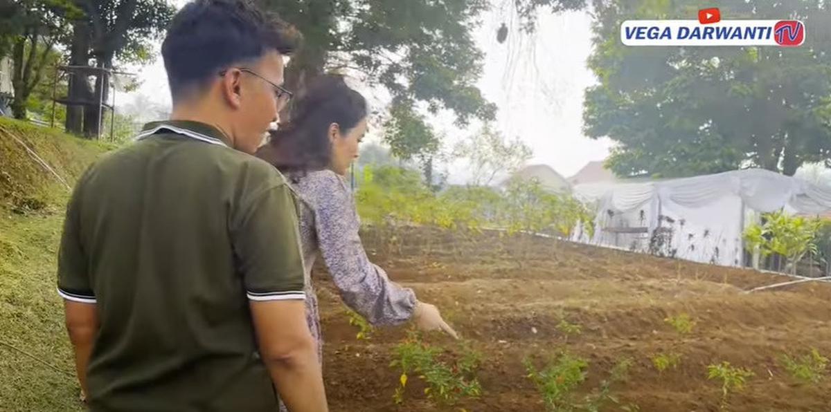9 Potret Terbaru Vila Ruben Onsu yang Luas dan Asri, Punya Banyak Pendopo - Perlihatkan Tanaman Hasil Berkebun