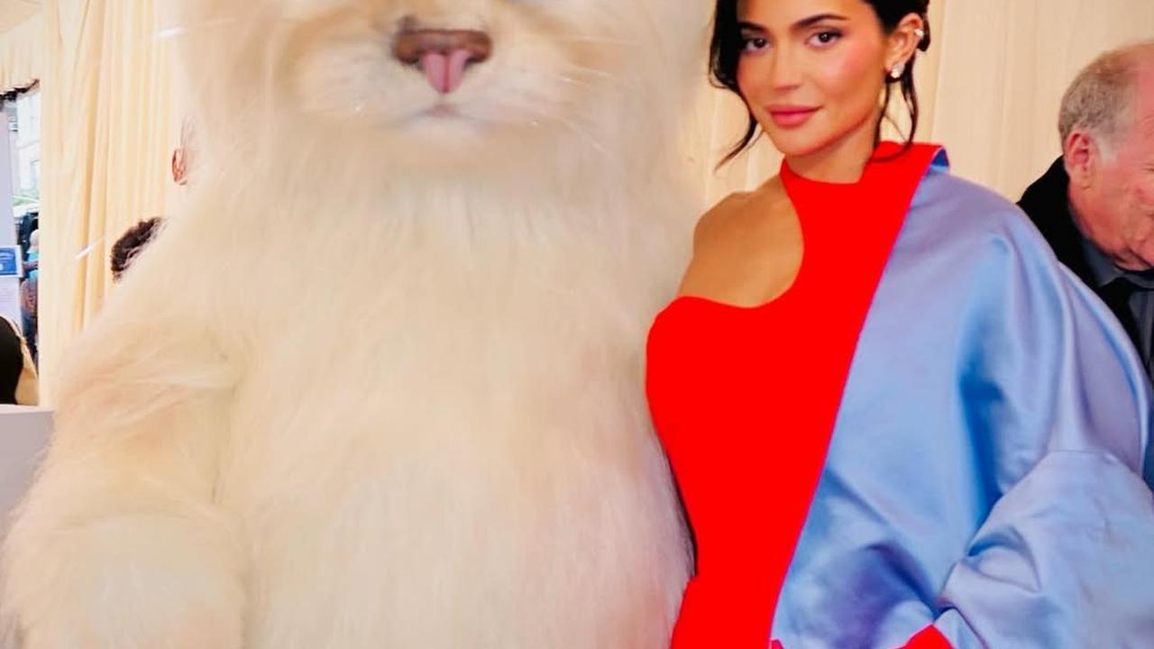 Kreativitas atau Kontroversi? 5 Gaya Met Gala yang Paling Menyita Perhatian