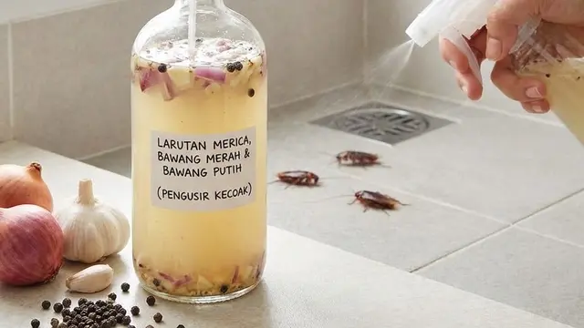 Cara Cepat Mengusir Kecoak dari Kamar Mandi Lembap/Gemini AI