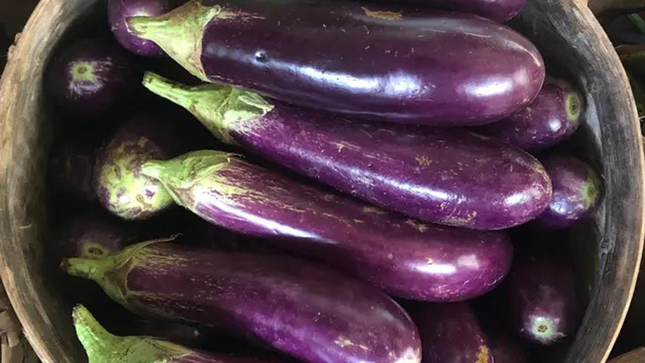 Resep Terong Isi Daging Cacah untuk Menu Diet yang Mudah Dibuat