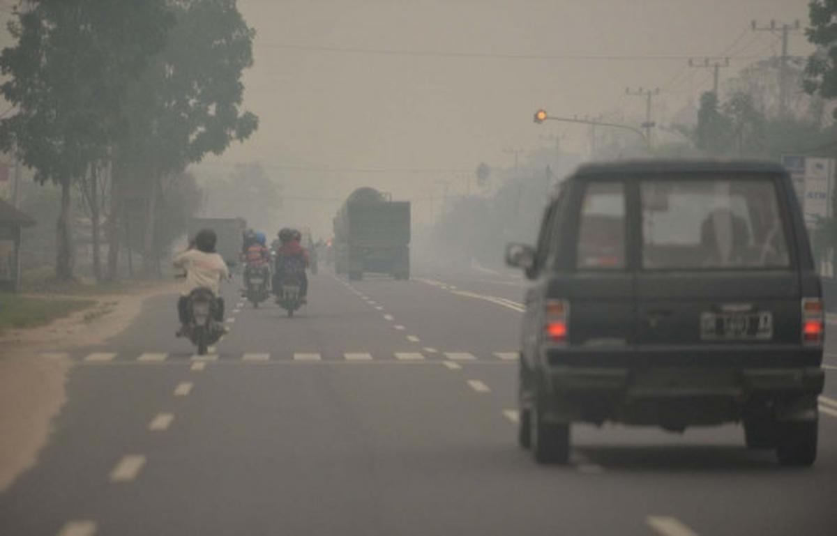 Perjuangan warga padamkan kebakaran hutan dengan alat seadanya