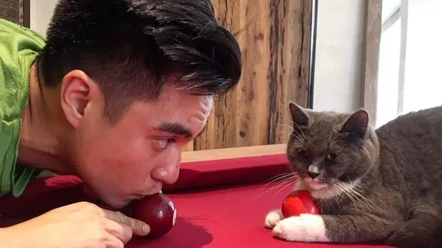 Artis Tanah Air Pelihara Kucing Harga Fantastis