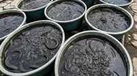 9 Cara Ternak Belut dalam Bak Plastik untuk Lahan Perkotaan, Panduan Lengkap