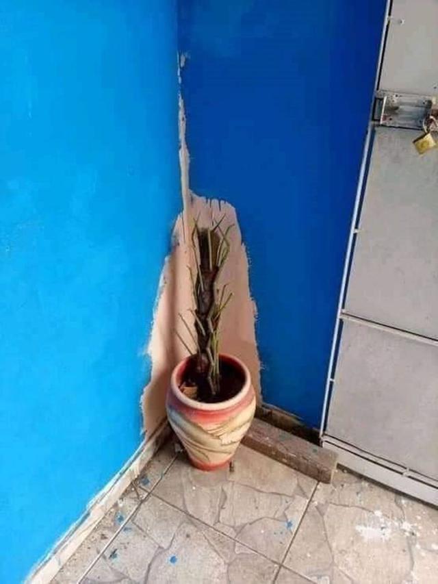 6 Potret Rumah dengan Cat Tidak Biasa Ini Kelewat Unik, Bikin Heran