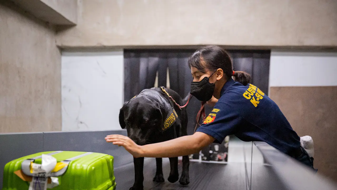 Barang bukti terbesar yang diamankan adalah narkotika jenis sabu sebanyak 4 ton, disusul ganja 2 ton, MDMA (ekstasi) seberat 187 kilogram, biji ganja 23 kilogram, dan narkotika sintetis MDMB Inaca sebanyak 22 kilogram. (Istimewa)