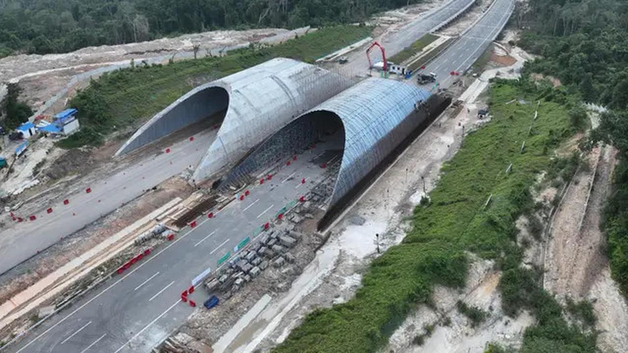 Di IKN Bakal Ada Jembatan Khusus Satwa