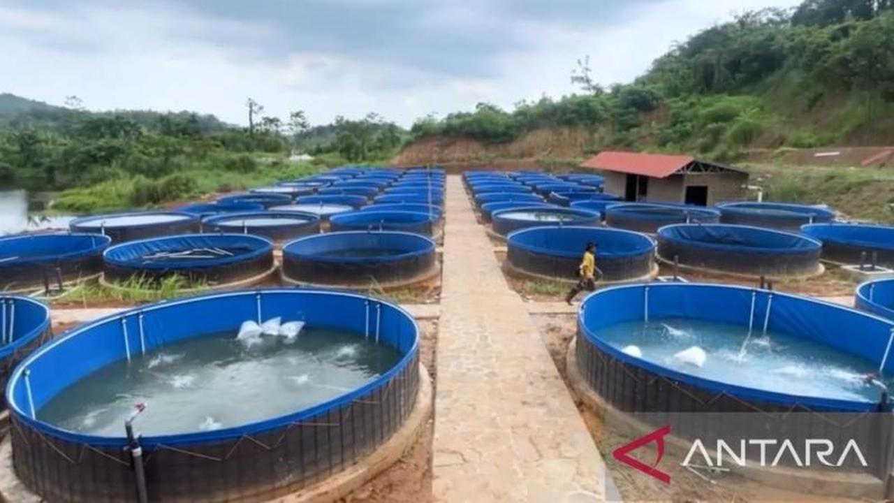 Kampung Ikan Bioflok Terbesar di Subang Diresmikan, Dorong Produksi dan Edukasi Perikanan