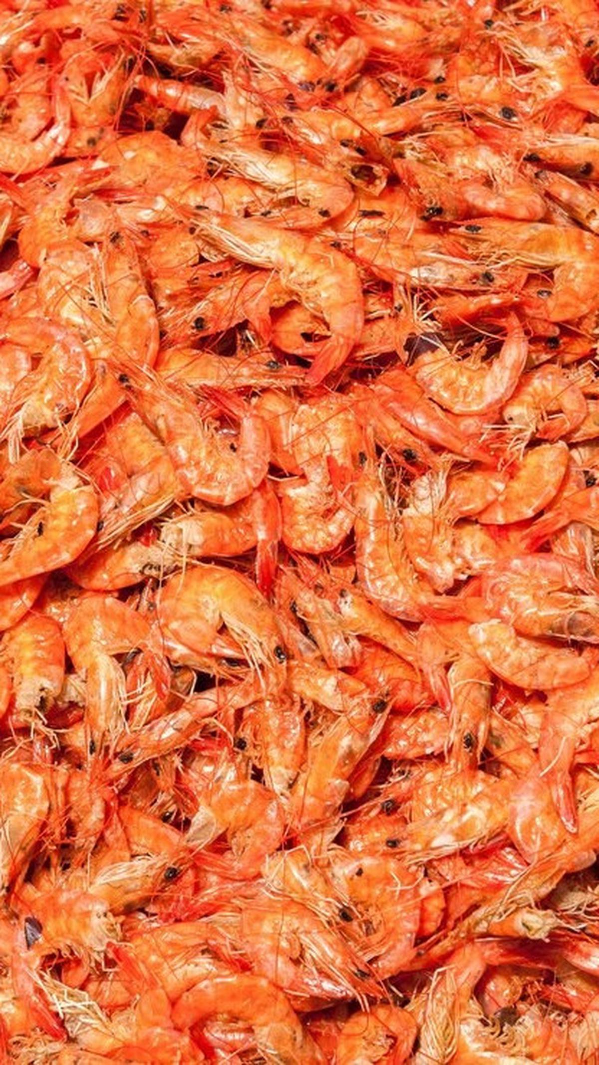 Dengan kreativitas dalam memanfaatkan berbagai jenis udang dan hasil olahannya, Anda dapat menciptakan masakan yang tidak hanya gurih tetapi juga memikat lidah.