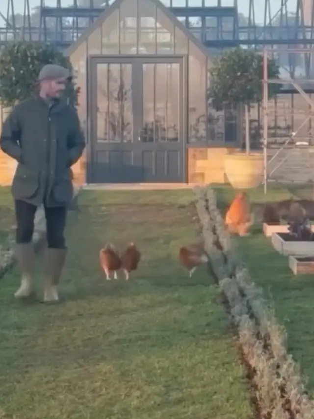 David Beckham berkebun dan beternak (Instagram/davidbeckham)