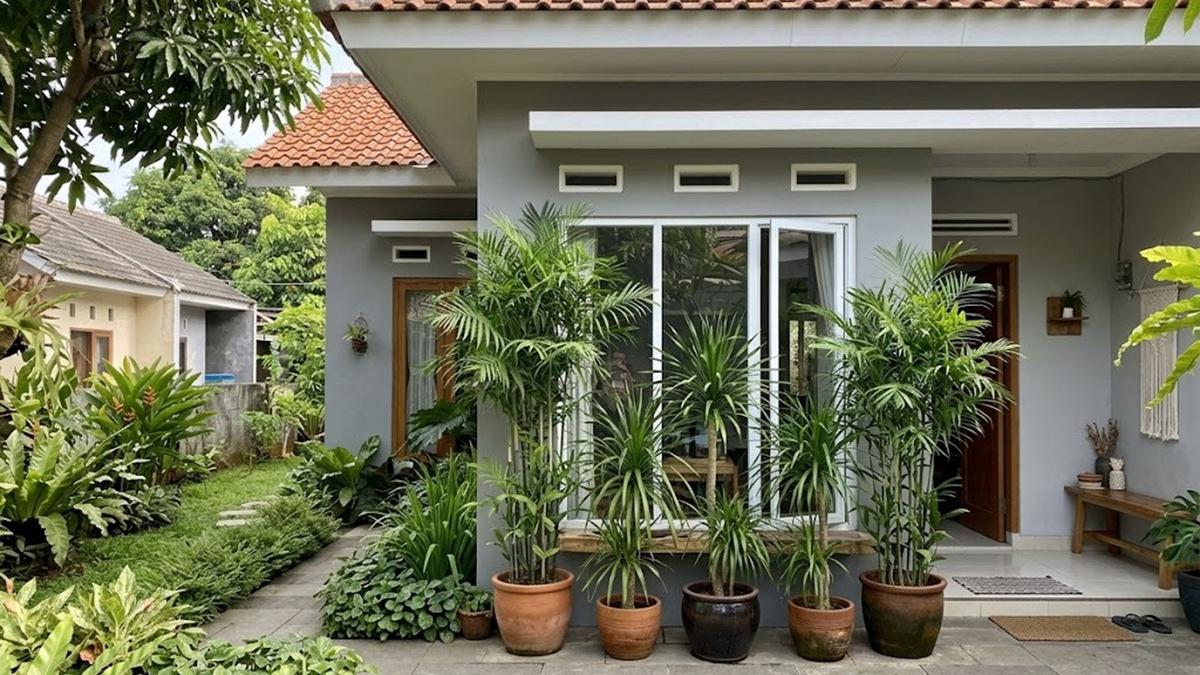 Cara Membuat Halaman Lebih Sejuk dengan Penempatan Tanaman