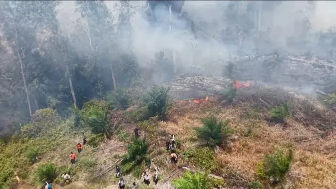 Penerjun Freefall Dikerahkan Tangani Kebakaran Hutan Riau