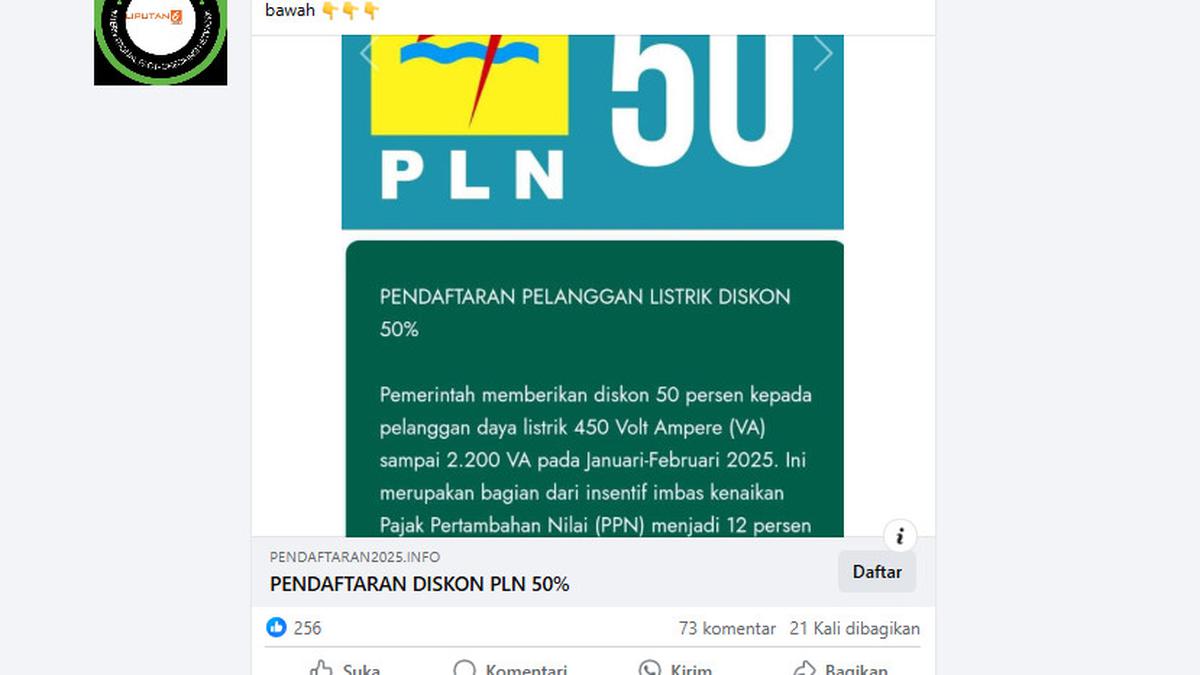 Cek Fakta: Tidak Benar Ini Situs Resmi PLN untuk Mendaftar Diskon Tarif Listrik 50 Persen