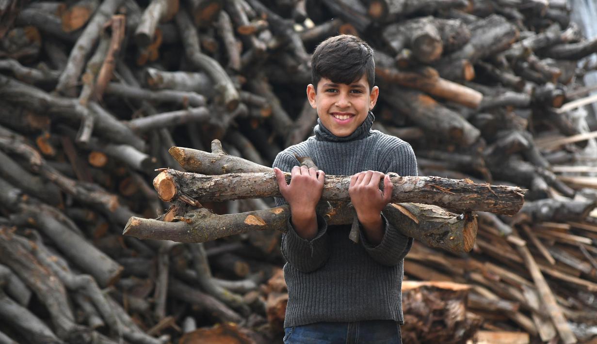 FOTO Warga Suriah Kumpulkan Kayu  Bakar  untuk Hadapi Cuaca 