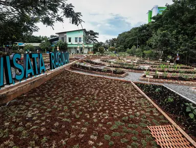 Suasana kawasan Agro Edukasi Wisata Ragunan di Jakarta, Selasa (15/12/2020). Pemerintah Kota Jakarta Selatan mendirikan Agro Edukasi Wisata Ragunan sebagai tempat percontohan pertanian perkotaan untuk pusat edukasi bagi warga Ibu Kota. (Liputan6.com/Johan Tallo)