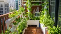 Cara Membuat Kebun Hidroponik di Balkon Rumah Kecil Tapi Hasilnya Melimpah, Praktis untuk Pemula