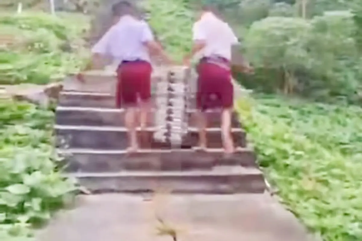 Viral Siswa SD di Nias Selatan Angkut Omprengan MBG Lewati Jalan Curam