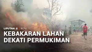 Api Dekati Permukiman, Kebakaran Lahan Gambut Bikin Warga Kalang Kabut