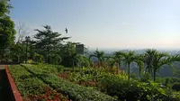 Meski berada di Kota Semarang, Taman Wilis menyajikan panorama ketinggian. (foto: Liputan6.com/Sheyla Al Kautsar)