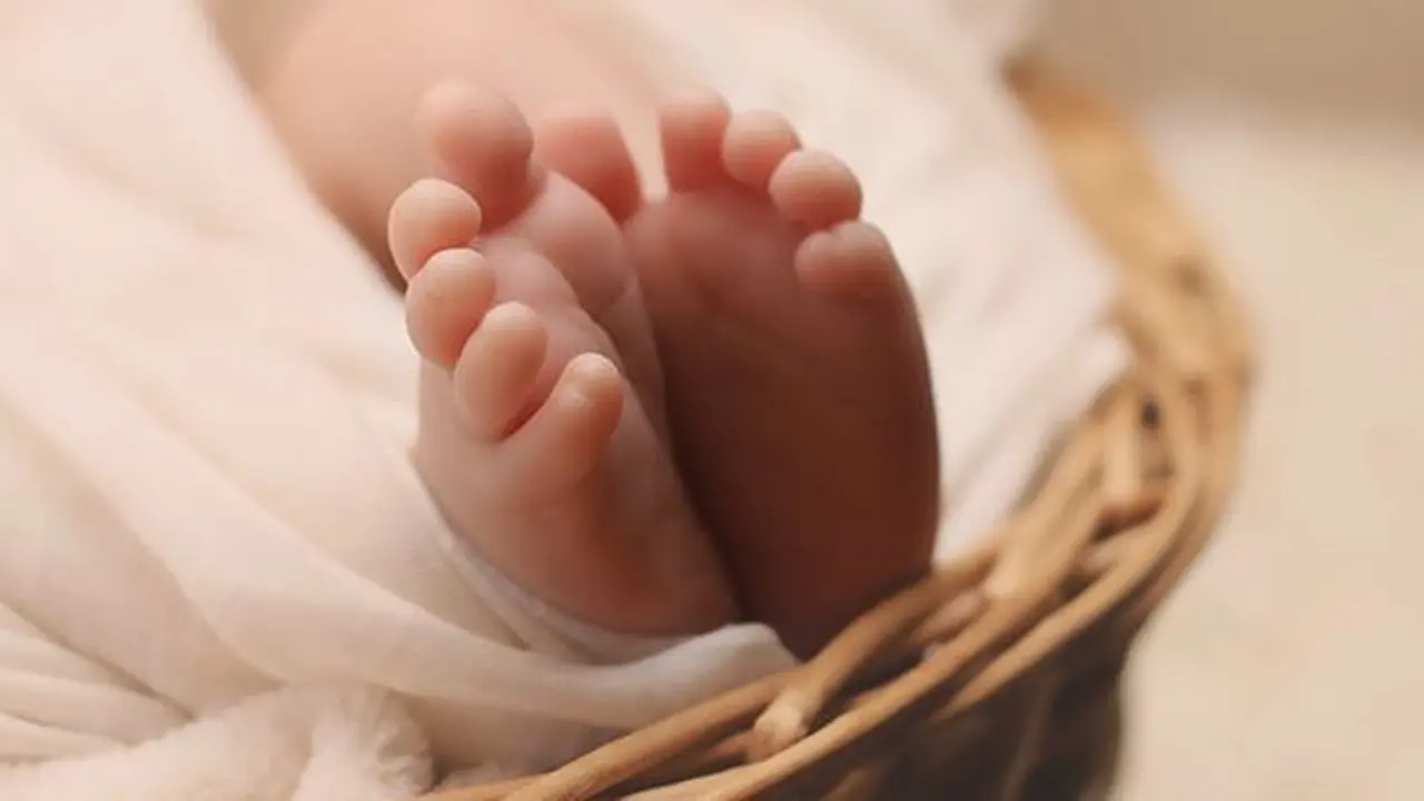 Anak/Copyright Shutterstock