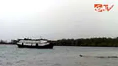 liputan6