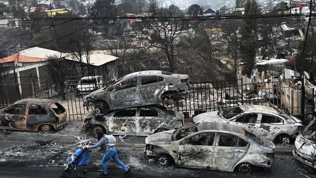 Kebakaran Hutan di Chile