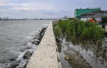 Proyek Giant Sea Wall Butuh Duit Rp1.680 Miliar