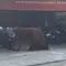 Orang Utan Solo Safari Kabur dari Kandang, Masuk ke Warung Ayam Goreng