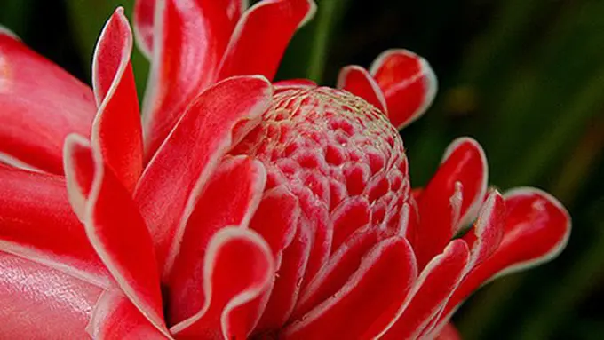 Foto: copyright flickr.com/stevendepolo