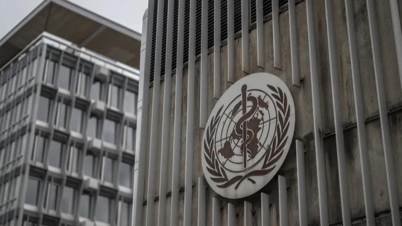 Bendera Palestina Segera Berkibar di Markas WHO Setelah Disetujui 95 Negara Anggota