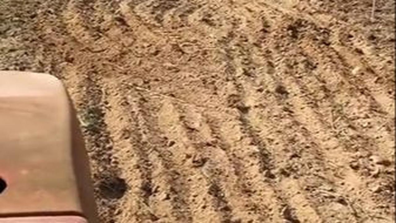 "Begini cara orang Arab Baduy mengubah padang pasir yang tadinya tandus dan gersang jadi subur dan hijau," kata Alman Mulyana.