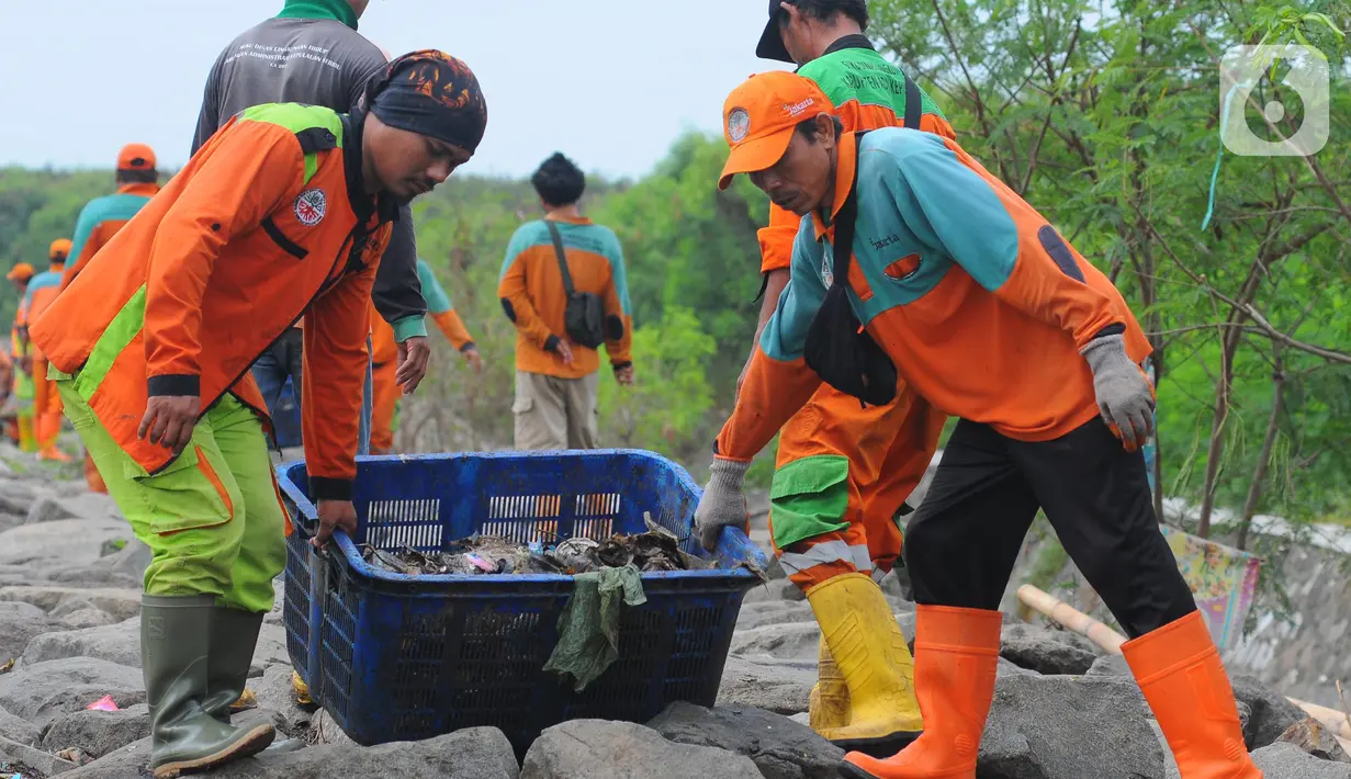 Dalam sehari sampah mampu diangkut rata-rata 1 ton dengan berkala per tiga hari.(merdeka.com/imam buhori)