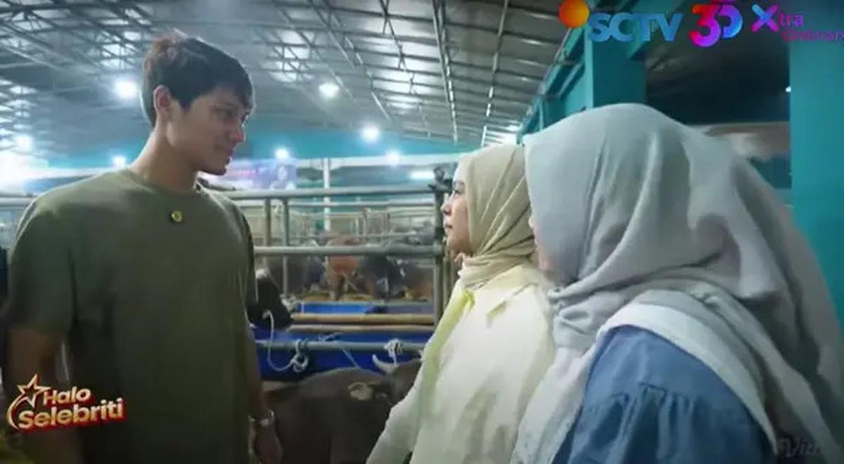 5 Potret Lesti Kejora dan Rizky Billar Bingung Beri Nama 4 Sapi Kurban untuk Hari Raya Idul Adha 2025