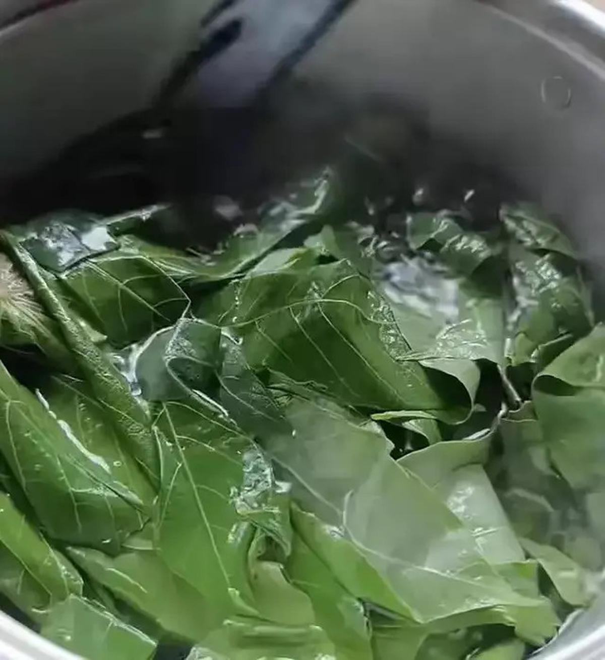 Tips Mudah Merebus Daun Singkong agar Tetap Hijau, Segar dan Empuk