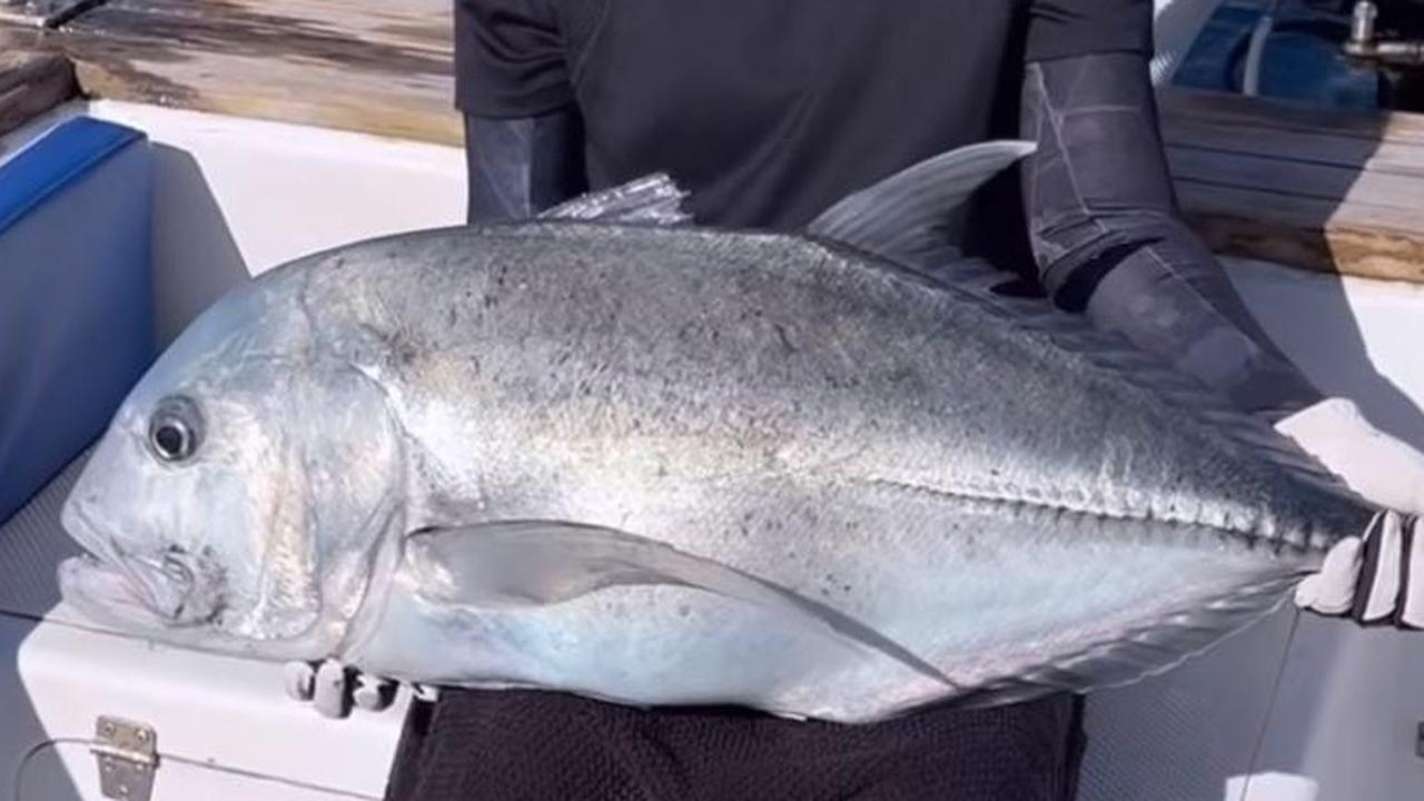 12 Potret Keren Prilly Latuconsina Mancing di Laut, Berjuang Dapat Ikan Besar yang Akhirnya Kembali Dilepas