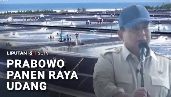Ikut Panen Udang di Kebumen, Prabowo Subianto Targetkan Swasembada Pangan Maritim