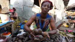 Penjual memperlihatkan siput yang dijualnya di sebuah pasar di Abidjan, Pantai Gading, Kamis (16/3). Siput menjadi salah satu hewan yang biasa dikonsumsi di daerah tersebut. (AFP PHOTO / ISSOUF Sanogo)