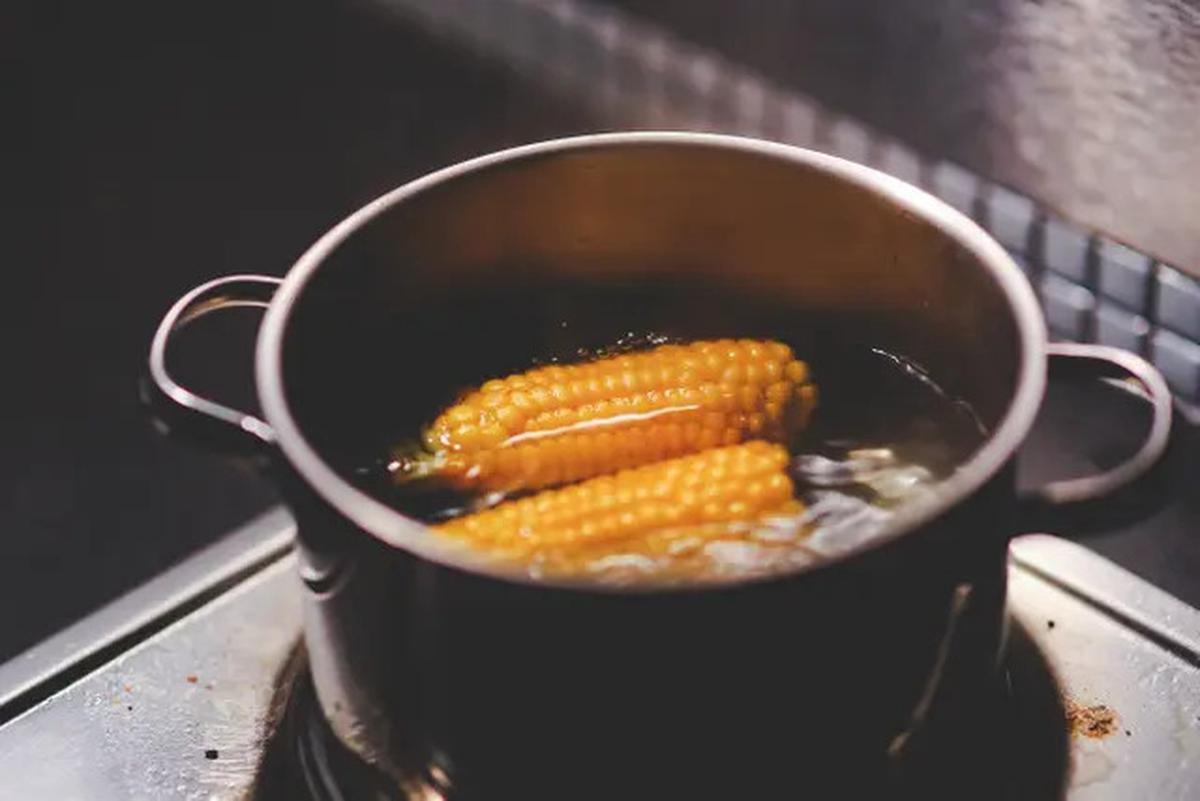 Tips Merebus Jagung 10 Menit Saja Hasilnya Empuk dan Cantik