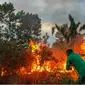 Gawat, Riau Dinyatakan BMKG Rawan Kebakaran Lahan Lagi. (Liputan6.com/M Syukur)