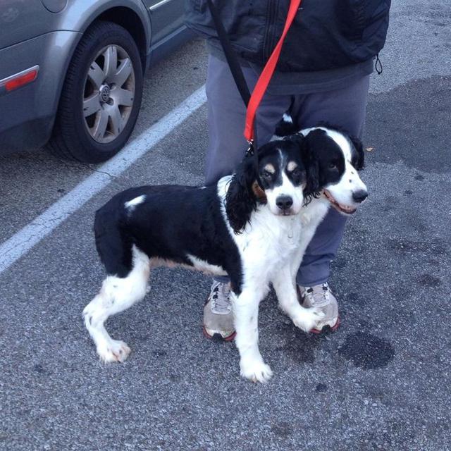 Bikin Mikir Dua Kali, 10 Potret Ini Buktikan Angle Bisa Menipu Mata