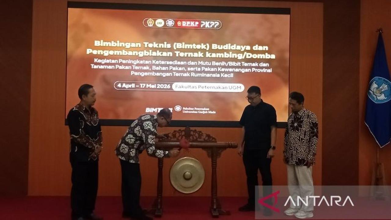Fapet UGM Gelar Bimtek Budi Daya Kambing Domba, Tingkatkan Kesejahteraan 585 Peternak DIY