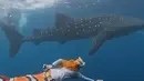 Salah satunya momen kebahagiaan Ria Ricis saat berenang bersama seekor hiu paus raksasa ini. Ia terlihat bisa bebas berenang tak takut berada di laut dalam. (Liputan6.com/IG/@riaricis1795)