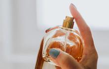 Mengenal SPL Parfum, Kunci Memilih Aroma yang Tahan Lama dan Berkualitas