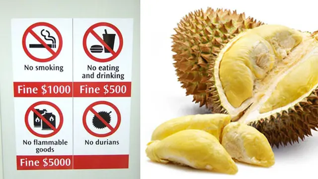 Foto: copyright openjourney.com