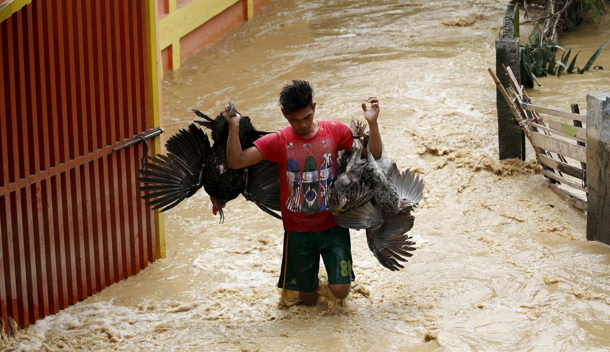 Seorang pria menyelamatkan hewan peliharaannya yang terjebak banjir di Nueva Ecija,  Filipina, Senin (19/10/2015). Topan yang memiliki kecepatan angin 175 kilometer per jam ini menciptakan gelombang ombak setinggi empat meter. (REUTERS/Erik De Castro)