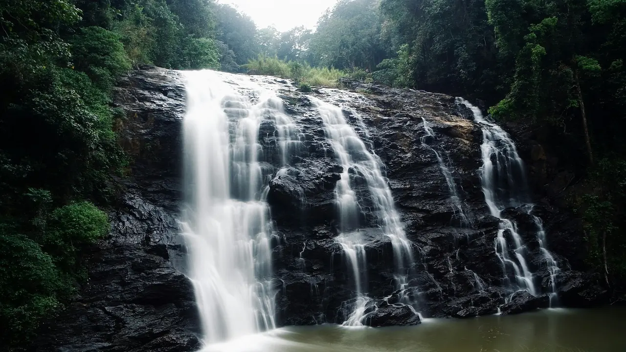 Coorg